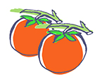 tomato image