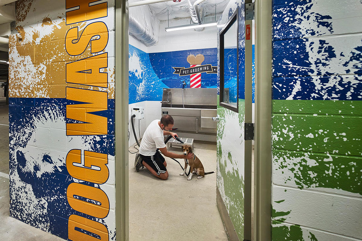 DOG WASH ROOM feature image